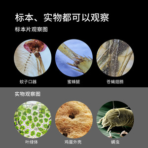 Kidzbro Handheld Microscope 150X-330X Zoom Focus Kids Biological Observation Outdoor Exploration Toy - Product Image 5