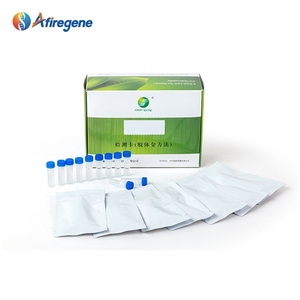AfireGene 심천 TB 신속 검사 소결핵 항체 라테럴 플로우 키트 모델 LSY-20066 24개월 유통기한 - Product Image 1