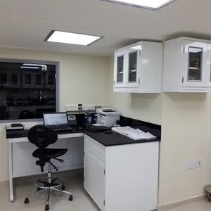 Science laboratorium meubilair fabrikant biologie Hoge school college zuurbestendig lab werkbank