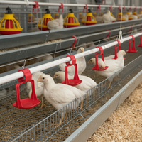 Nuevo Modelo AYTAV 302244 Bebedero de Doble Brazo con Válvula de Goteo, Acero Inoxidable, 2 Años de Garantía, Origen Turquía, Uso en Granjas, para Pollos y Animales