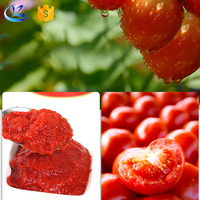 Pâte de tomate Offre Spéciale de haute qualité 36-38% Sauce tomate concentrée fraîche pâte de tomate