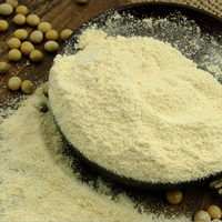 Poudre de lécithine de soja de qualité alimentaire en vrac à prix de gros