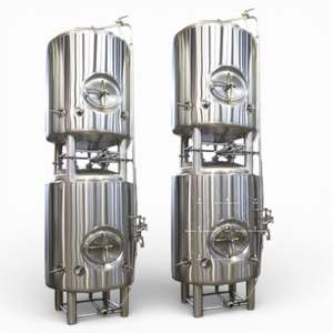 Mejor Precio en Tanques de Fermentación Cónicos Isobáricos de 10 Bbl para Cerveza Industrial - Product Image 3