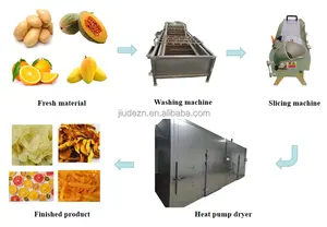 Professional Mango Processing Machine Strawberry Dried Apricot Dried Fruit Food Dryer