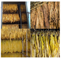Four de séchage à pompe à chaleur commercial KINKAI à haut rendement, personnalisé, avec moteur PLC pour la transformation alimentaire, économe en énergie, prix compétitif