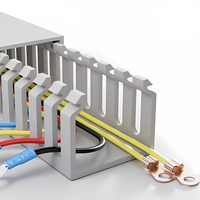 Canalización de Cables WBO 5060 de PVC, Precio Atractivo, Canalización de Cables Ignífuga para la Industria