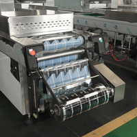 Emballageur de film étirable entièrement automatique pour dattes Medjool et fruits secs avec scellage à haute barrière
