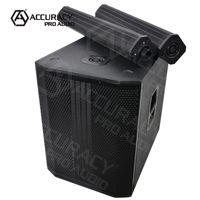 [Stock CN] Système audio portable Accuracy Pro Audio AC35TD3 avec subwoofer 15 pouces breveté, enceinte colonne