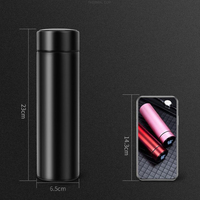 Bouteille d'eau à affichage de température de 500ml Thermos en acier inoxydable fiole à vide