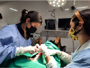 Moniteur patient multiparamétrique vétérinaire, dispositifs de surveillance des signes vitaux pour animaux de compagnie - Product Image 2