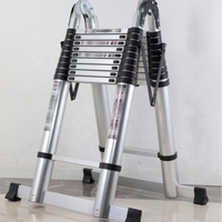 Échelles télescopiques combinées en alliage d'aluminium modernes de qualité commerciale Anta, capacité de 150 kg, design pliable multifonctionnel, CE
