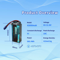 43000mAh Lithiumfreie Anodenbatterie 6S 22,8V 8S/12S/14S/18S/24S/28S 10C 450Wh/kg OEM&ODM für Industriedrohnen RC-Autos