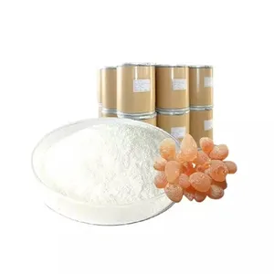 Giá Bán Hot Chế Biến Bột E414 Nguyên Arabic Gum Giá