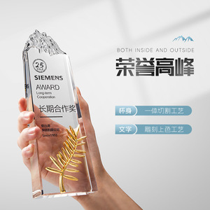 รางวัลความร่วมมือระยะยาวของซีเมนส์ คริสตัล โทรฟี่ ของที่ระลึกทางธุรกิจที่แกะสลักขึ้นเป็นรางวัลสำหรับการประชุม - Product Image 2
