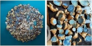 Polvo de Cúrcuma Negra Deshidratada, Hecho Naturalmente, a Granel, en Venta - Product Image 3