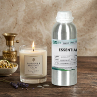 Diffuseur d'aromathérapie à huile essentielle premium 100 ml pour machine à encens, humidificateur d'air froid pour la maison et la pièce, parfum d'ambiance