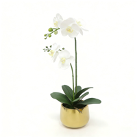 Anggrek Phalaenopsis Buatan Putih dengan Akar dalam Pot Keramik Emas dengan Tanah Buatan Bunga Palsu untuk Dekorasi Ruang Tamu.