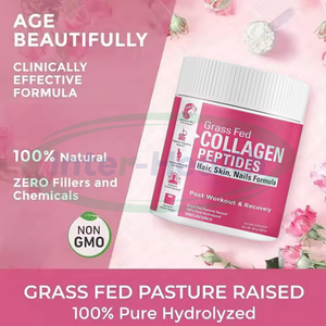 Ausreson OEM hidrolize kollajen peptid tozu kadın takviyesi kollajen ve probiyotik tozu - Product Image 3