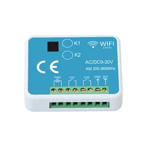 YET402PC Multi Frequency Universal 2 Channel WIFI Receiver 12-30V Relay Board Receiver