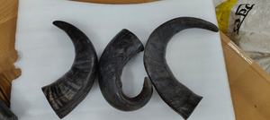 Dés de jeu en os et en corne de buffle sculptés à la main, de haute qualité, écologiques, en matériaux organiques, avec un design et une taille personnalisables - Product Image 6