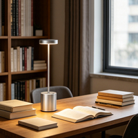 Lampe de table LED sans fil rechargeable, portable, en métal, pour intérieur et extérieur, avec charge USB et commande tactile, veilleuse de chevet