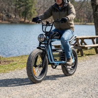 Vélo électrique tout-terrain à pneus larges avec freins à disque hydrauliques, Cruiser Lakeshore Access pour les itinéraires de pique-nique panoramiques