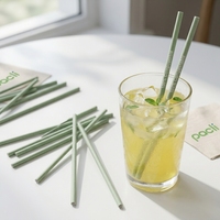 Pailles jetables personnalisables PHA Home Composable, écologiques pour les boissons de fête