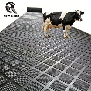 Nuevas Alfombrillas <span class=keywords><strong>de</strong></span> Goma para Ganado Vacuno y Caballar, para Granjas Lecheras, Resistentes, Antideslizantes, <span class=keywords><strong>de</strong></span> Goma SBR, Higiénicas y Fáciles <span class=keywords><strong>de</strong></span> Limpiar - Product Image 1