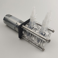 Pompe péristaltique à double tête en acier inoxydable résistant à la corrosion, pompe à vide, pompe à forte aspiration, débit de 500 ml/min*2
