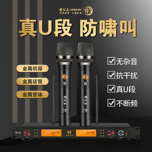 Micrófono Inalámbrico Leigongwang Cr890 con Receptor UHF, Uno a Dos, para Karaoke en Casa, Actuaciones en Escenario, KTV - Product Image 3