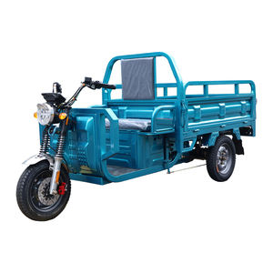 Triciclo Eléctrico de Carga de 3 Ruedas, Mini Camión Eléctrico, Motocicleta de Carga en Venta, Almacén en Alemania - Product Image 2