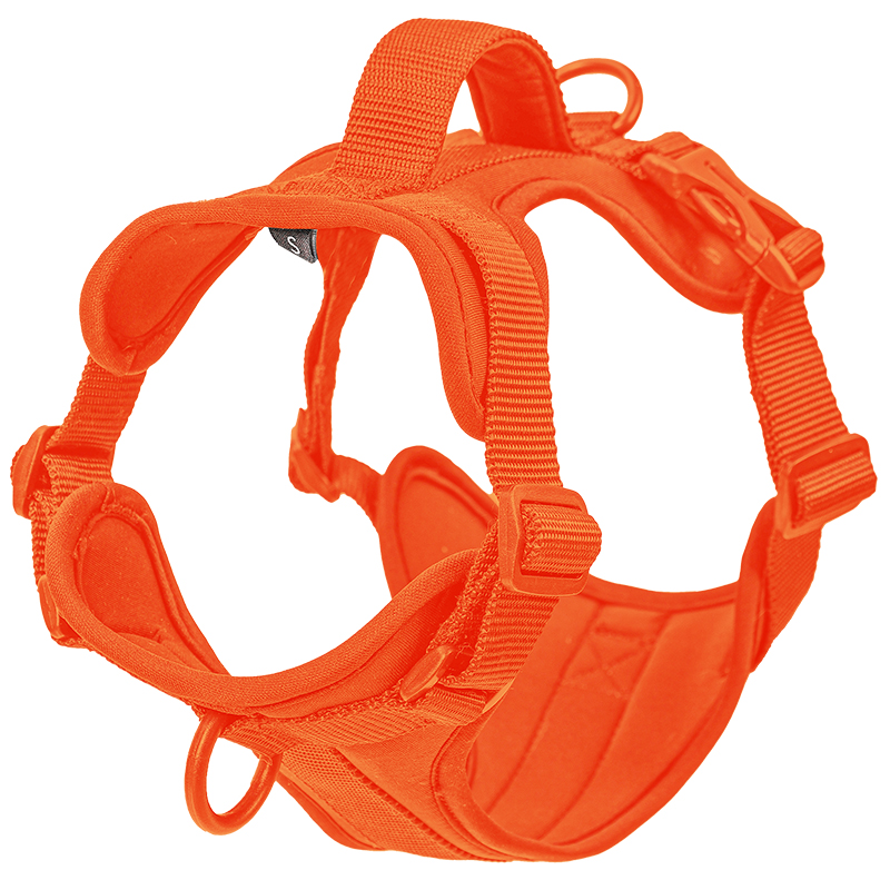 Harnais rouge orange