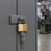 Cadenas en laiton haute sécurité antivol avec cylindre en laiton et 2 clés en laiton, écologique, durable, étanche IP65 pour portail