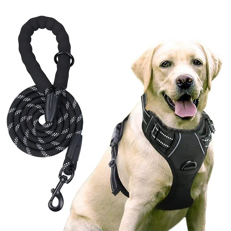 Strong Durable Reversible Harnesses Cute Dog Nylon Leash with Comfortable Padded Handle Dog Rope Leash Dog Harness Pet Leashes