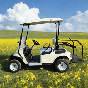 Carrito de golf estándar de 2 plazas color blanco crema con parabrisas para uso diario en villas, jardines y turismo. - Product Image 2