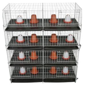 Cage d'élevage avicole moderne automatisée en H, haute capacité pour cailles et poulets de chair - Product Image 6