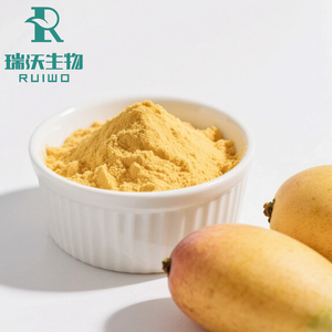 Per uso alimentare naturale sapore di frutta succo istantaneo in polvere 1kg MOQ puro estratto di Mango per bevande e bevande - Product Image 1