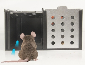 Pièges à rats faciles à utiliser Humane Mousetrap sans tracas Chipmunk boîte de capture cage de campagnols en plastique - Product Image 3