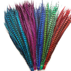 للبيع بالجملة كرنفال 10-، سيدة أمهيرست ، ديكور كرنفال من الريش - Product Image 4