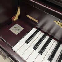 Samick SC310CRD Buatan Korea Premium Tipe Tegak untuk Rekital Rumah