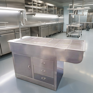Table de traitement vétérinaire en acier inoxydable avec évier et armoire - Table vétérinaire humide pour cliniques et hôpitaux |   Fabricant Fournisseur - Product Image 4