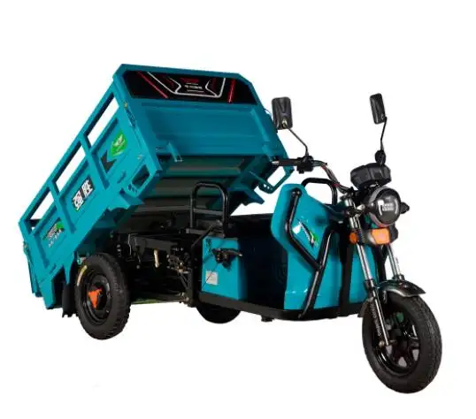 China hot selling high quality scooter big space cargo electric tricycle