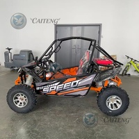 Buggy de plage Caiteng à un siège, essence/électrique, automatique, 200cc, 4x4, avec construction en métal et plastique, capacité de 2 passagers