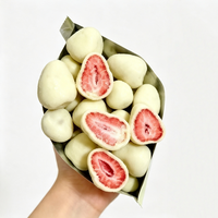 Fraises lyophilisées croustillantes enrobées de chocolat pour la décoration de gâteaux et desserts, idéales pour les collations aux fruits, vente en gros Sunnuts