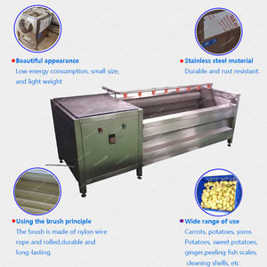 Pomme de terre carotte manioc fruits tambour laveuse éplucheur brosse Type rouleau lavage éplucheur Peladora De Papas industriel - Product Image 5