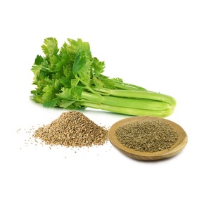 Graines de céleri en vrac de qualité supérieure, épices naturelles idéales pour la fabrication d'aliments, les préparations culinaires et la cuisson quotidienne - Product Image 6