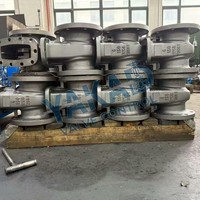 Válvula de Compuerta de Acero Inoxidable Z41W-16P, Bridada RF, SS304, Vástago Ascendente, para Tuberías de Agua, Petróleo y Gas, PN16