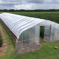 Kit de serre en acier galvanisé à simple travée avec film PE, 8x30m, structure de culture commerciale pour légumes, montage facile
