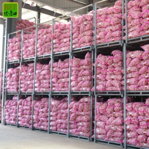 <span class=keywords><strong>China</strong></span> ajo blanco normal Grado Superior ajo al por mayor para la exportación con GAP 2023 nuevo precio de fábrica de cultivos proveedor de ajo fresco - Product Image 6