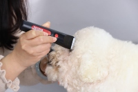 Ciseaux électriques pour petits animaux de compagnie MC-220 prise européenne 110-220V paquet KISS (chargeur USB à large tension) tondeuses pour animaux de compagnie